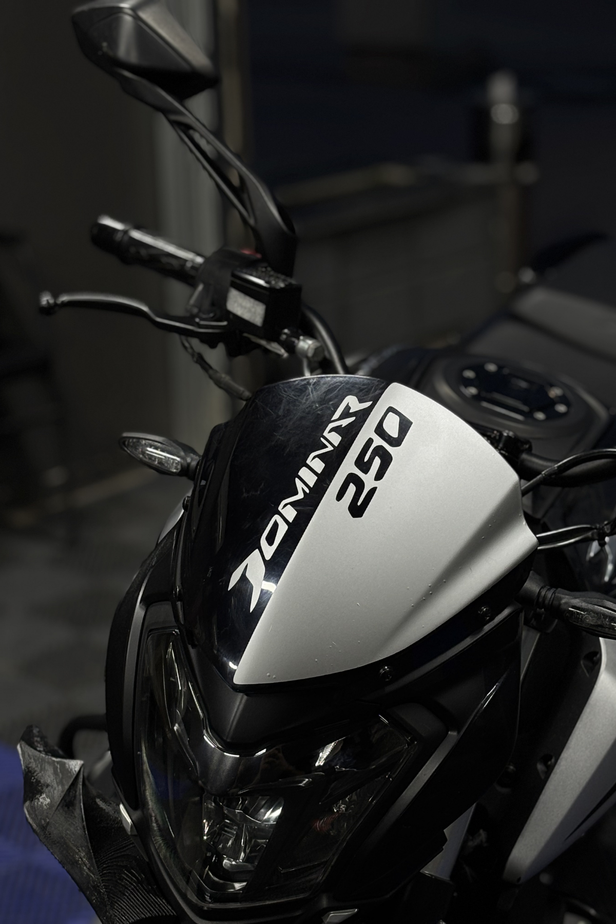 Bajaj Dominar 250 için Gümüş Renk Kafa Detay Sticker (İşçilik Gerektirir)