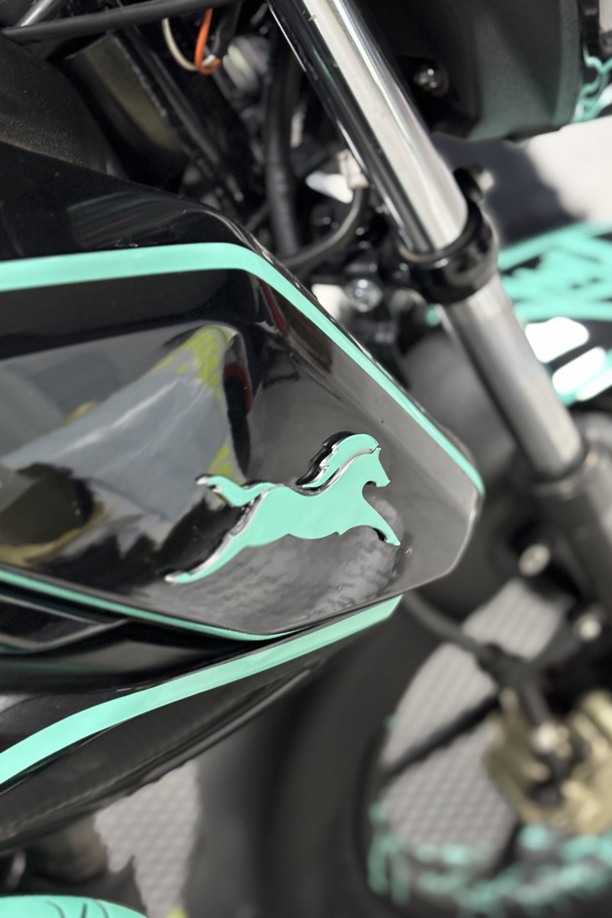 TVS grubu için Raider ve RTR Uyumlu Nane Yeşili At Logo Sticker Etiket (Sağ ve Sol)