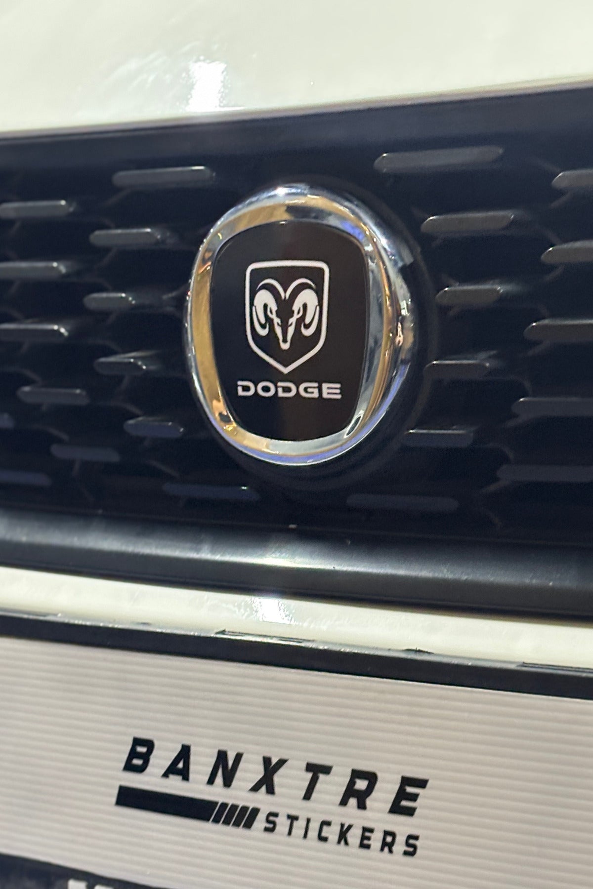Fiat Egea için Uyumlu Logo için Tam Uyumlu Ön-Arka Sticker Seti