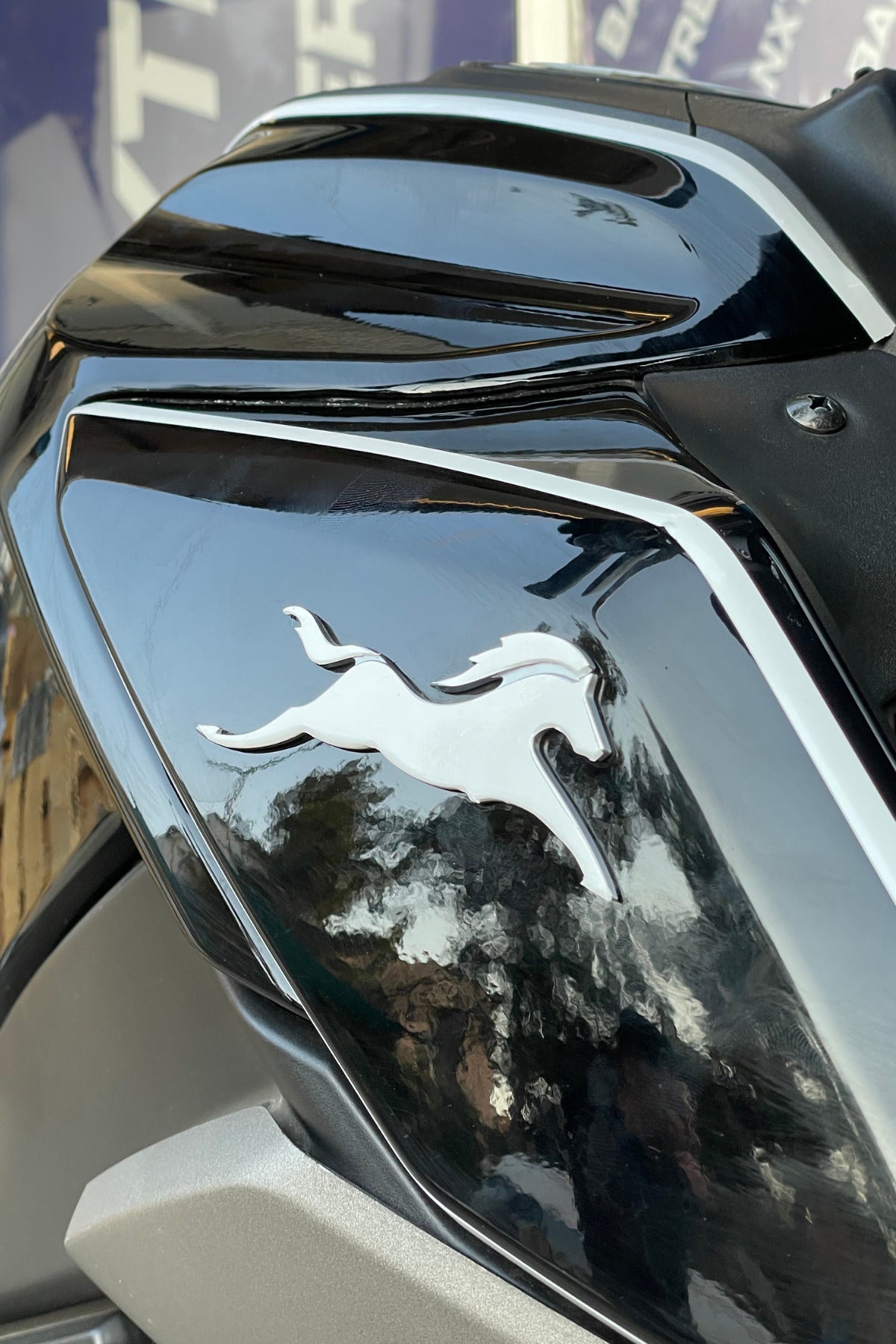 TVS Raider için Beyaz TVS At Logosu Birebir Uyumlu Sticker Seti (Sağ ve Sol )