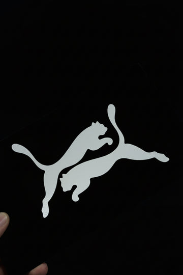 Motosiklet ve CG Deposu için Leopar Desenli Depo için Sticker Etiket (Sağ ve Sol )
