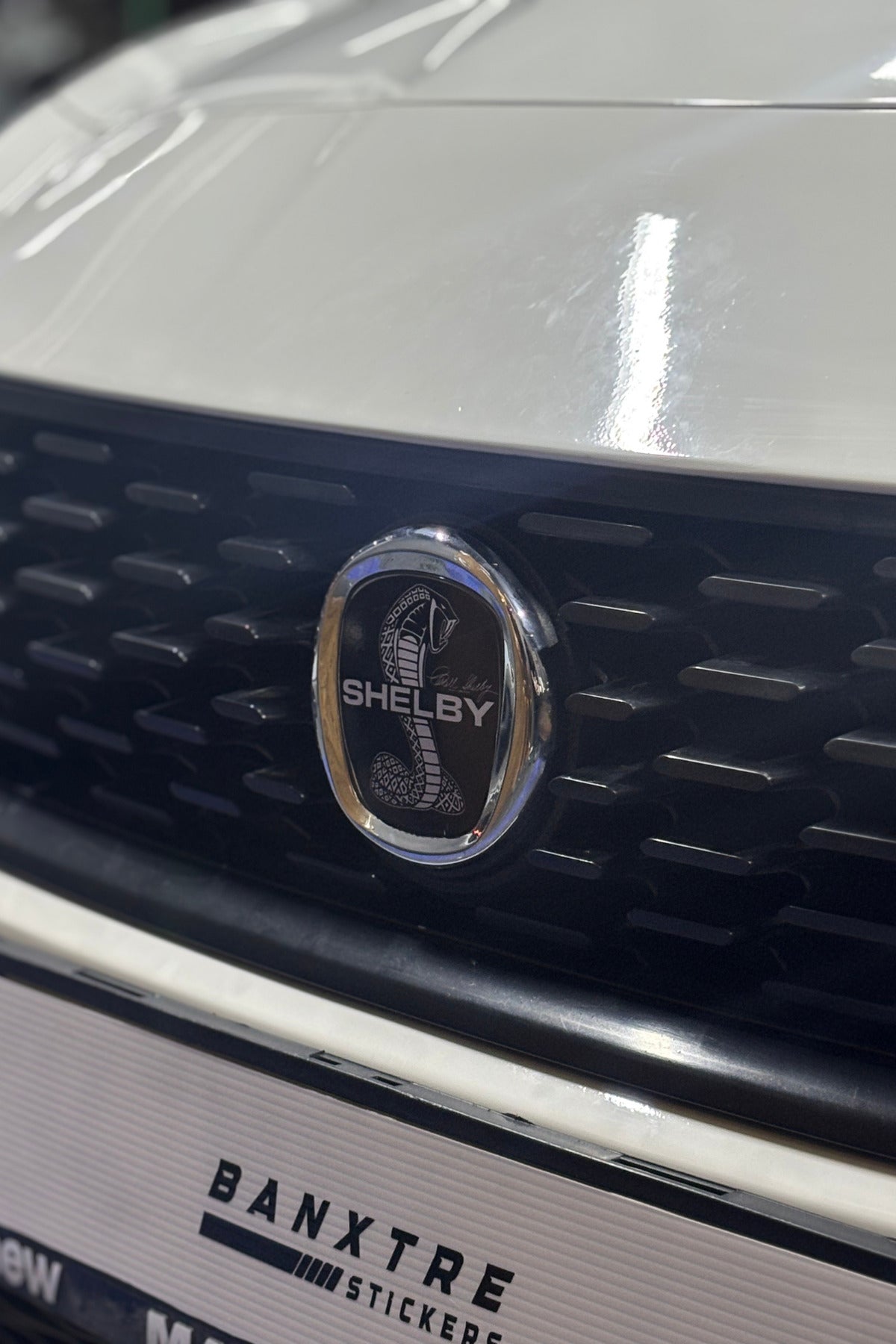 Fiat Egea için Uyumlu Logo için Tam Uyumlu Ön-Arka Sticker Seti
