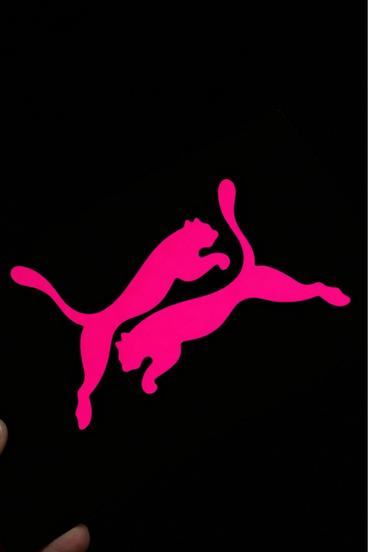 Motosiklet ve CG için Puma Figürlü Sticker Etiket
