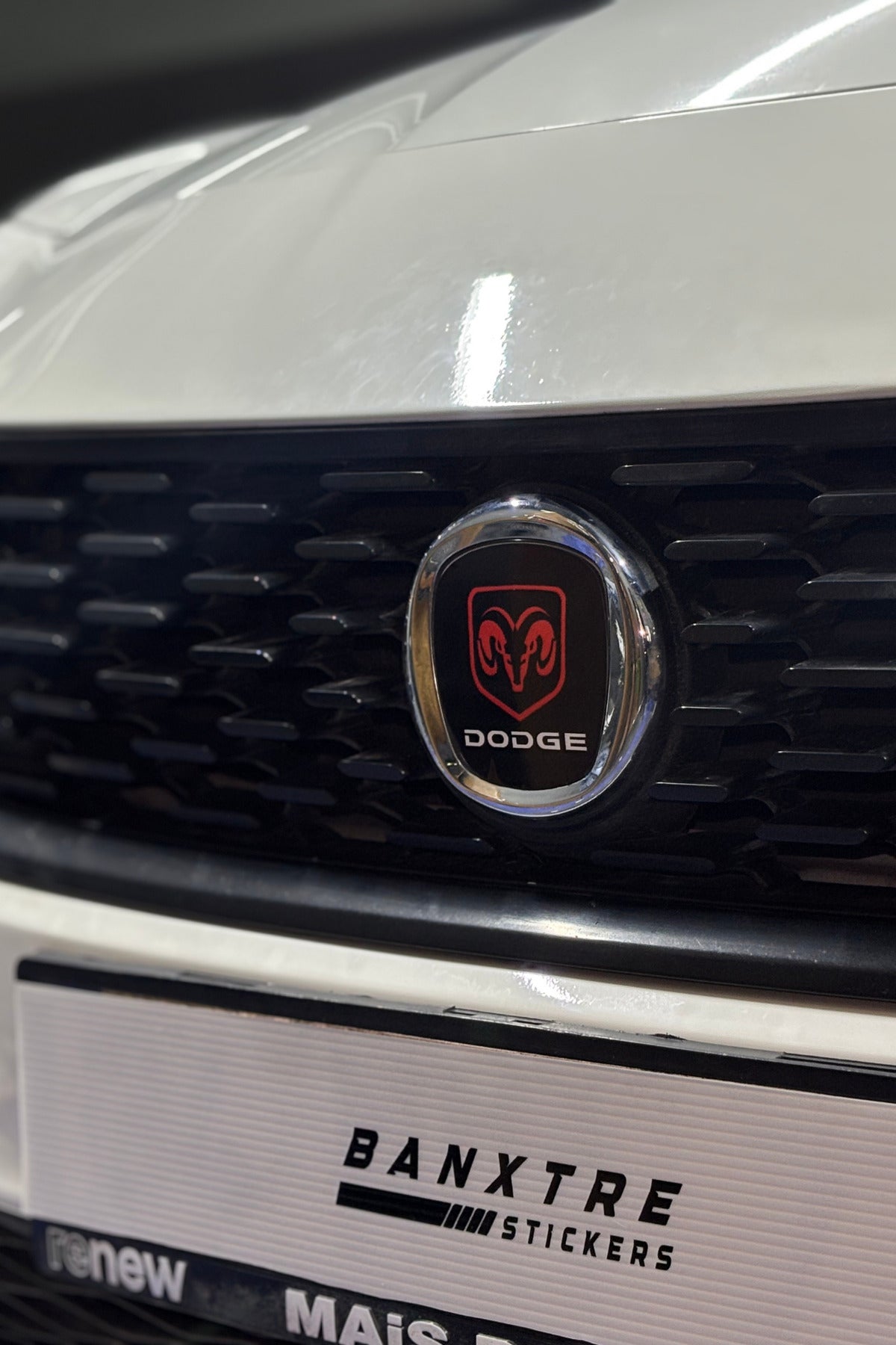 Fiat Egea için Uyumlu Logo için Tam Uyumlu Ön-Arka Sticker Seti