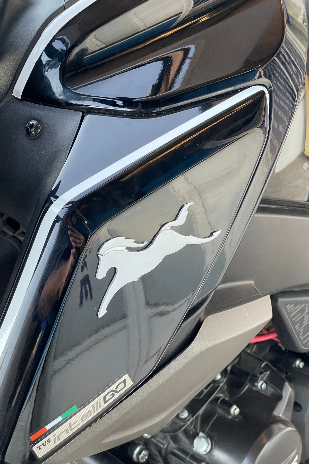TVS Raider için Beyaz TVS At Logosu Birebir Uyumlu Sticker Seti (Sağ ve Sol )