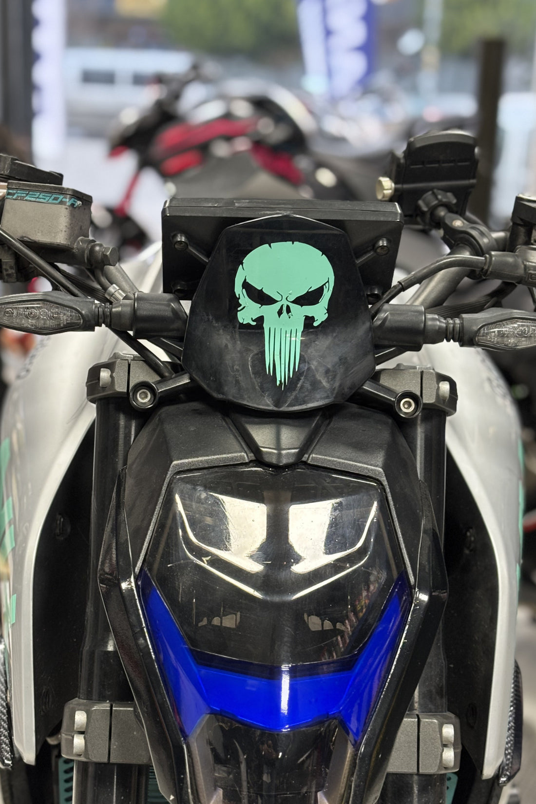 Motor ve Kask için Nane Yeşil Punisher Logo Sticker Etiket (1 Adet)