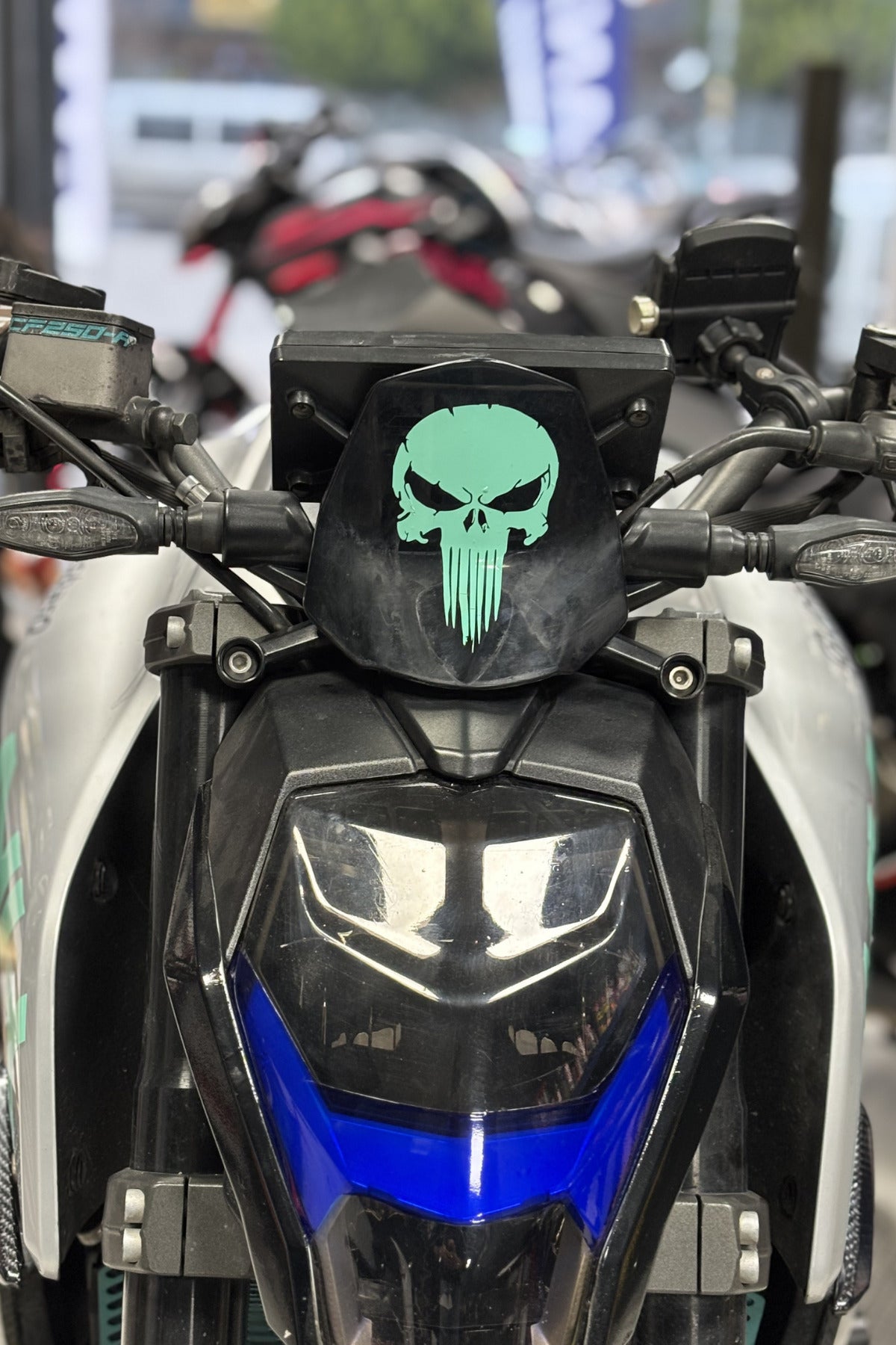 Motor ve Kask için Nane Yeşil Punisher Logo Sticker Etiket (1 Adet)