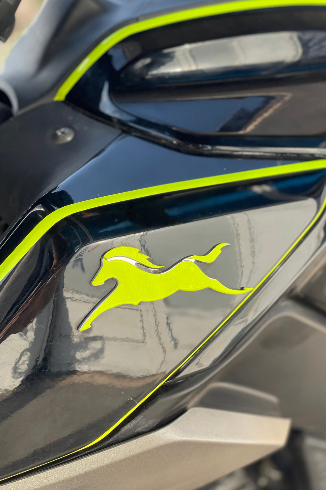 TVS Raider için Neon Sarı TVS Logosu At için Birebir uyumlu Sticker Etiket Seti (Sağ ve Sol )