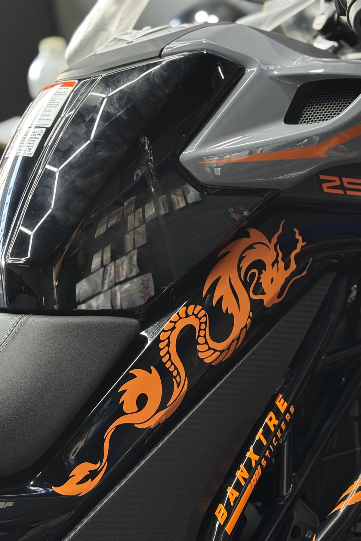 CFMOTO NK250 Uyumlu Ejderha Tasarım Orta Grenaj Sticker Seti Sağ ve Sol