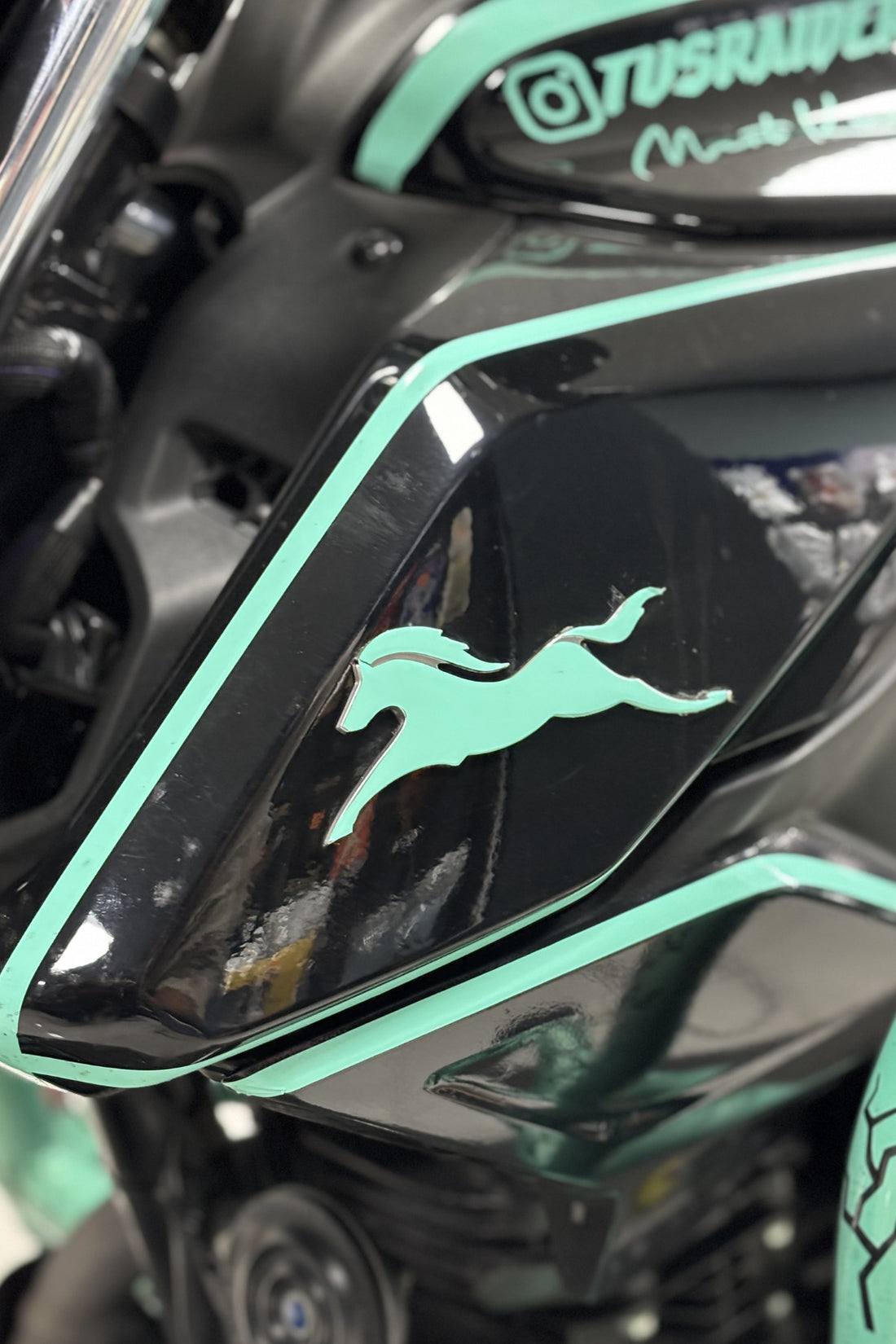 TVS grubu için Raider ve RTR Uyumlu Nane Yeşili At Logo Sticker Etiket (Sağ ve Sol)