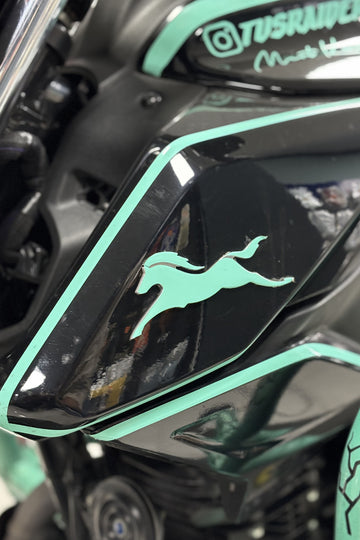 TVS grubu için Raider ve RTR Uyumlu Nane Yeşili At Logo Sticker Etiket (Sağ ve Sol)