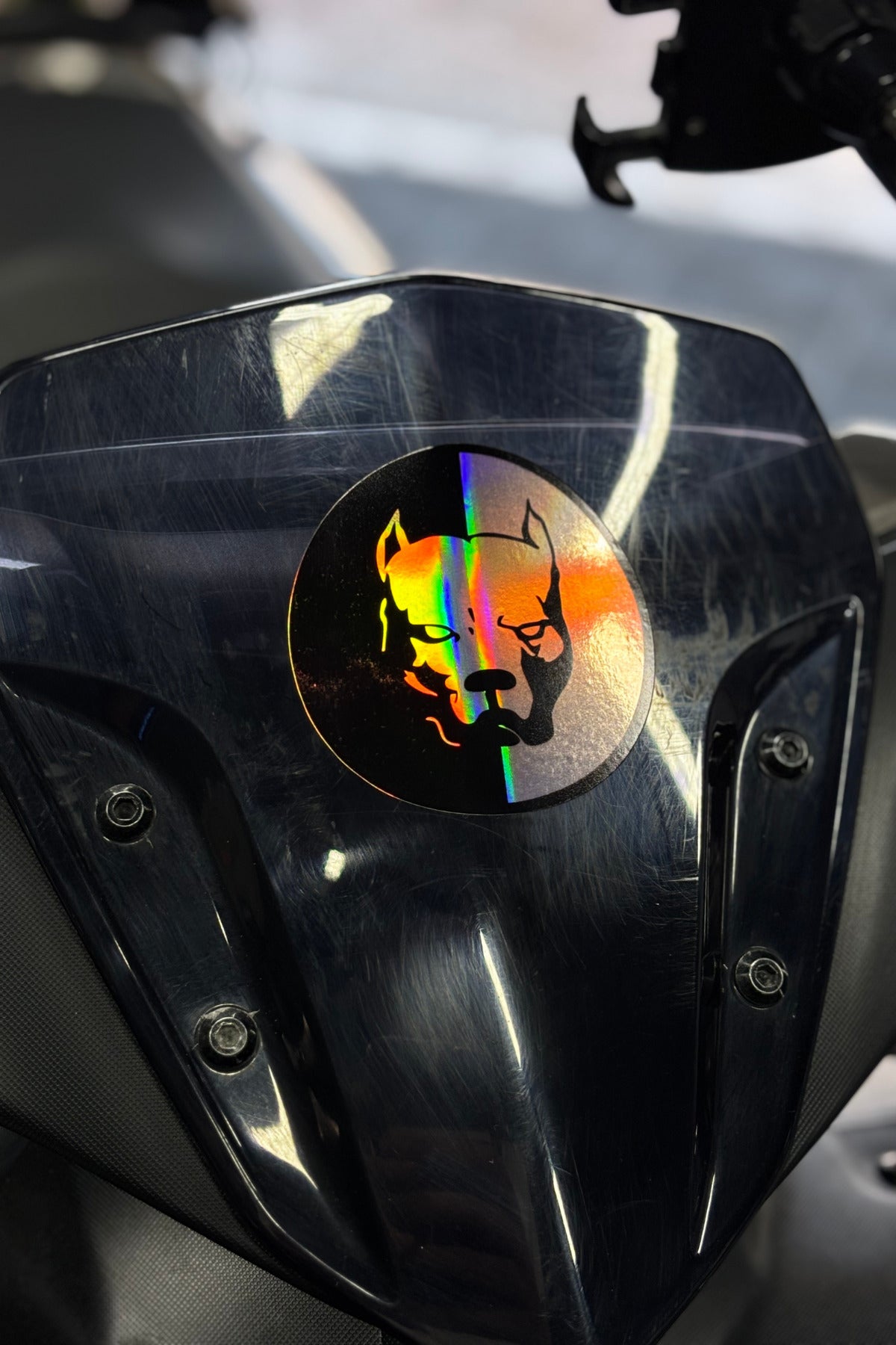 Motor ve Araba için Hologramlı Pitbull Köpek Sticker Etiket (8CMx8CM)(1 Adet)