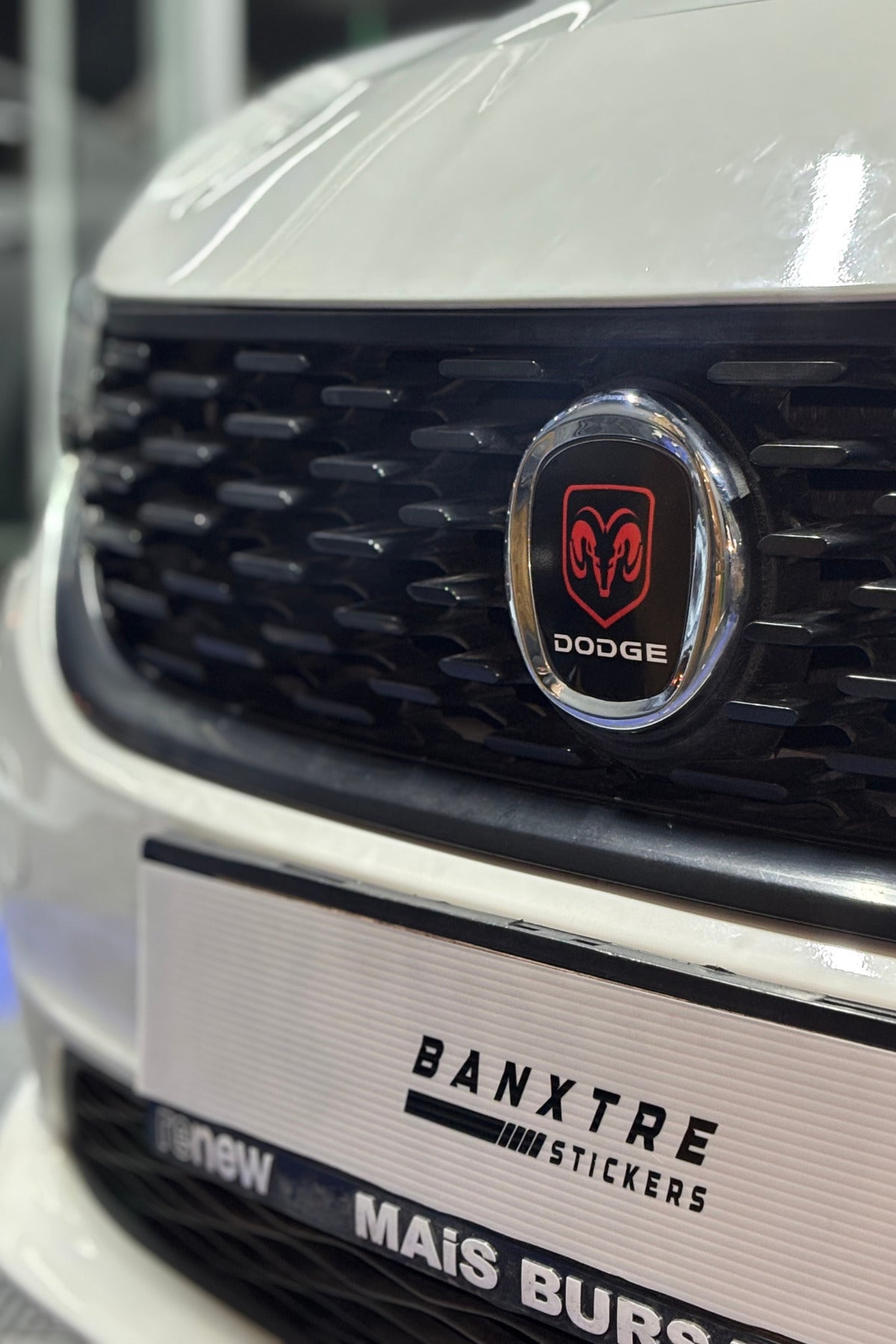 Fiat Egea için Uyumlu Logo için Tam Uyumlu Ön-Arka Sticker Seti