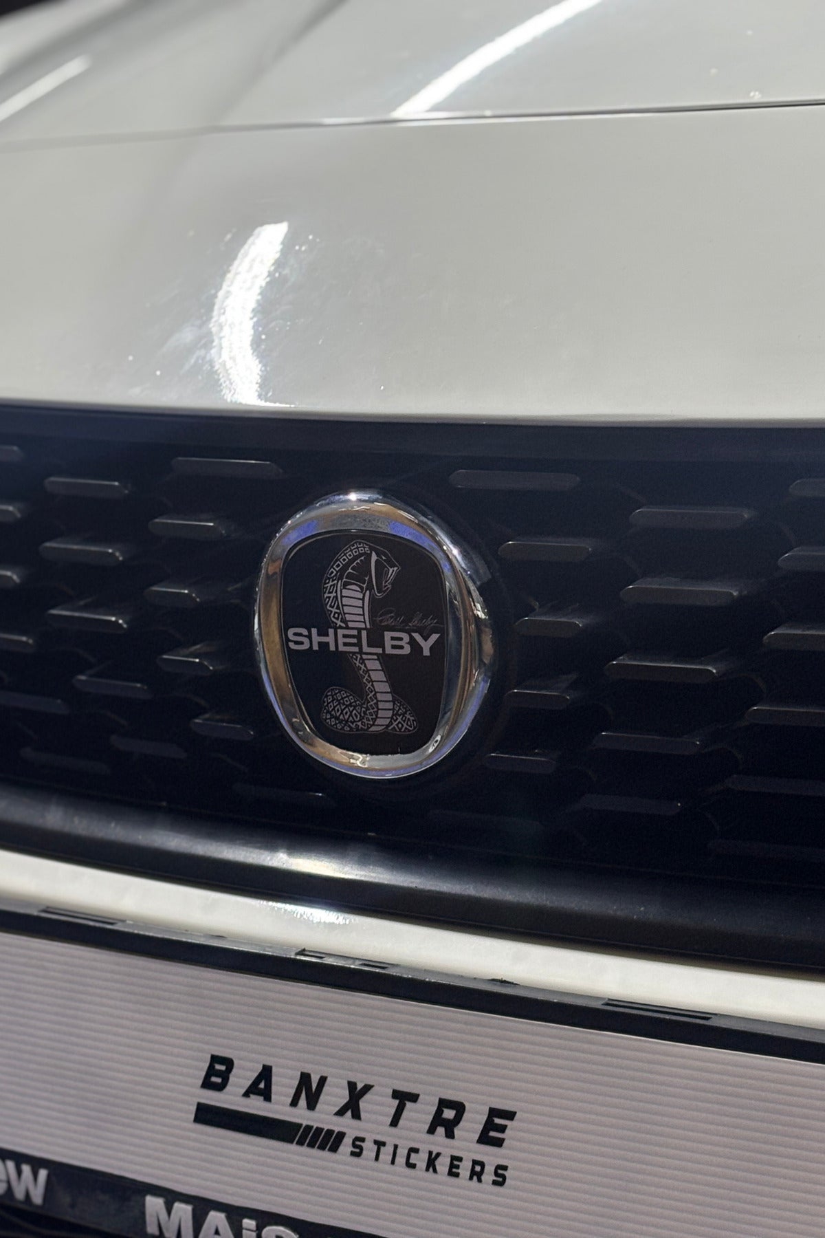 Fiat Egea için Uyumlu Logo için Tam Uyumlu Ön-Arka Sticker Seti