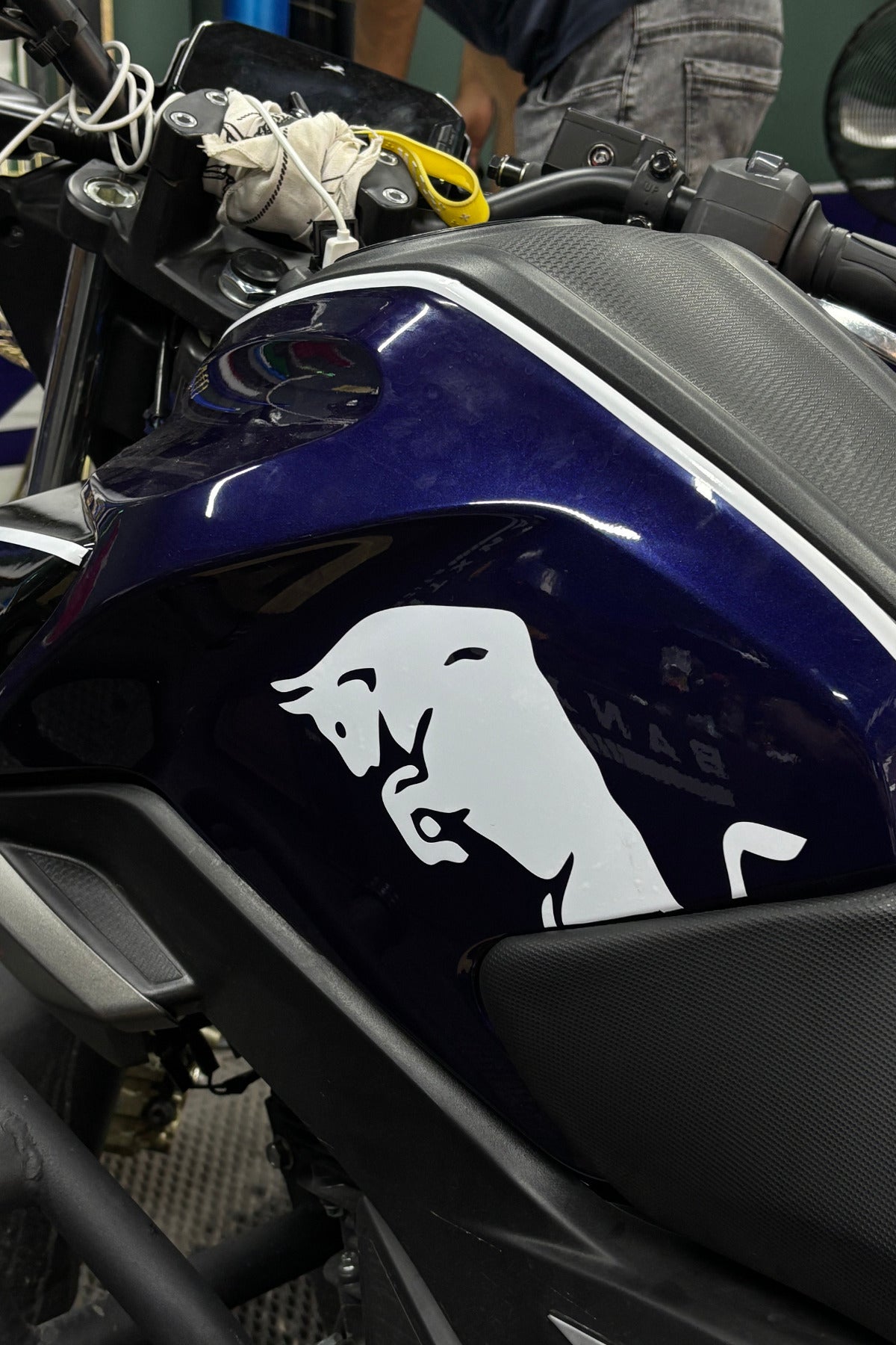 Motosiklet için Depo ve Drenajlara Uyarlanabilir Büyük Beyaz Boğa Sticker (Sağ ve Sol)(20CMx10CM)