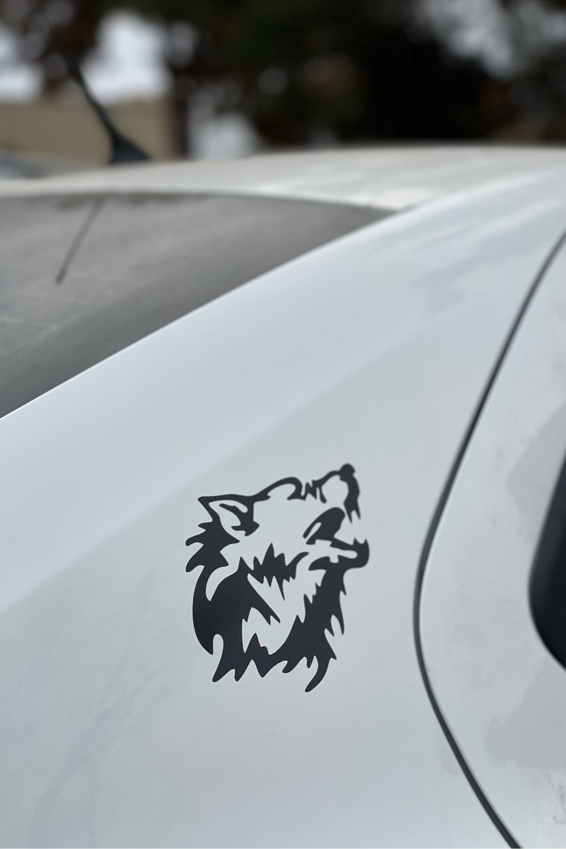 Araba ve Motor için Siyah Renk Bozkurt Sticker Etiket (1 Adet)