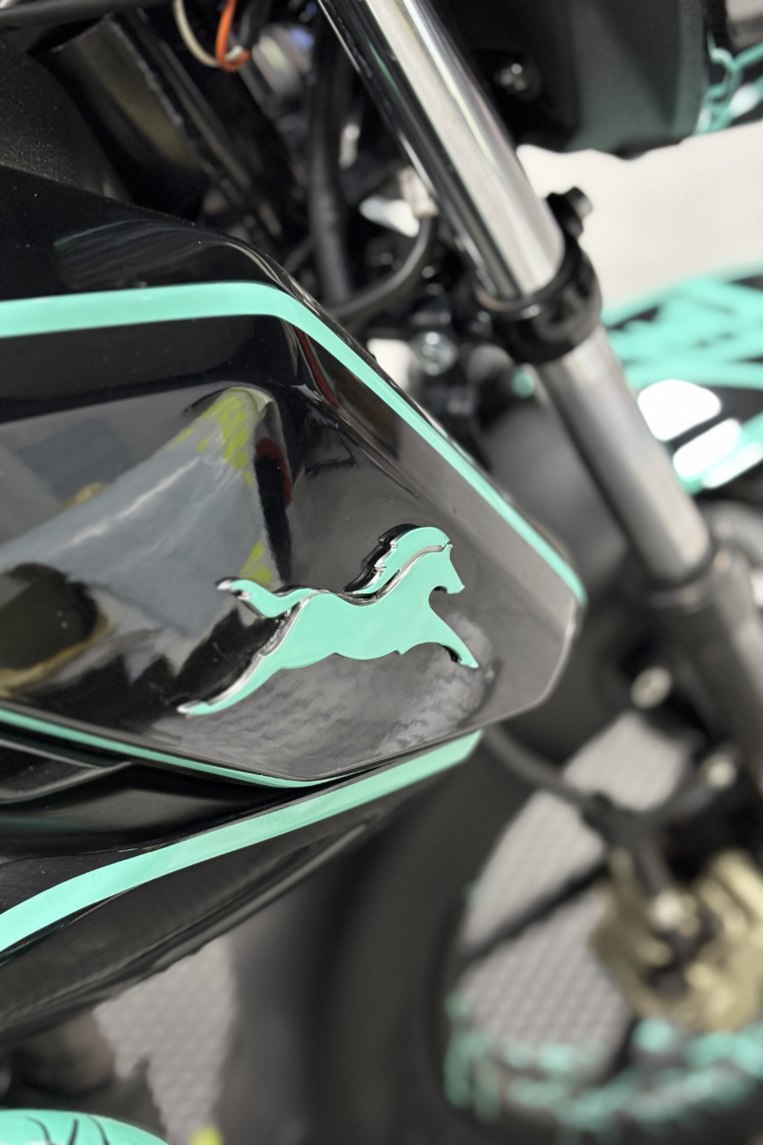 TVS grubu için Raider ve RTR Uyumlu Nane Yeşili At Logo Sticker Etiket (Sağ ve Sol)