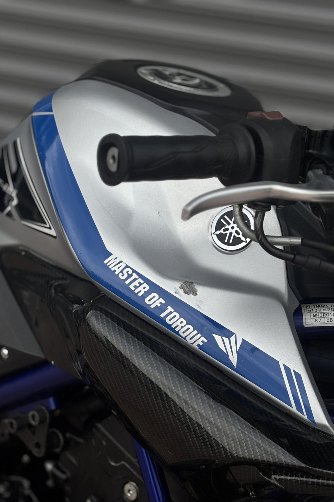 Yamaha MT-25 için Depo Kordon Master Of Torque Sticker Seti (Sağ ve Sol) (2016-2019)