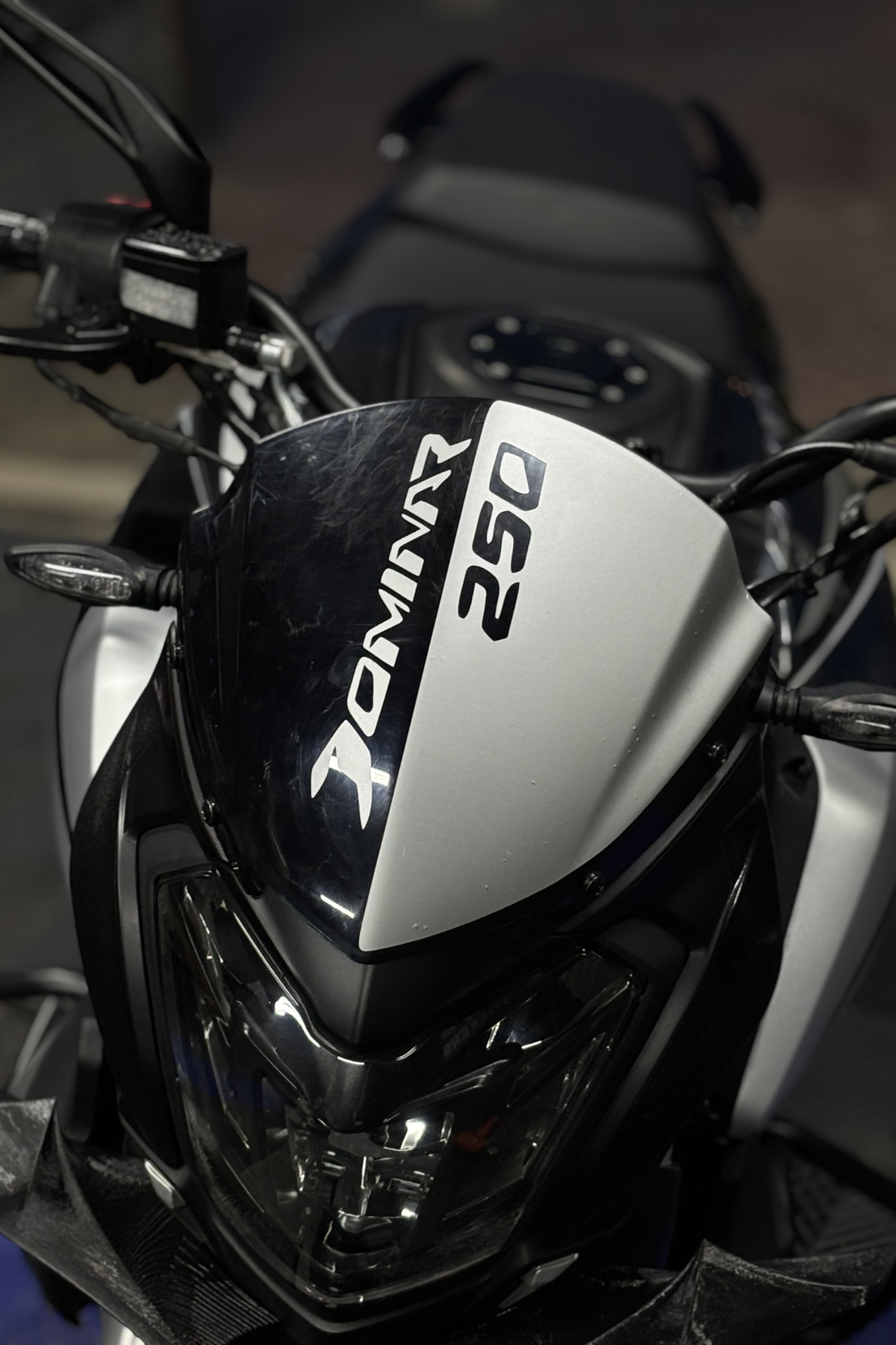 Bajaj Dominar 250 için Gümüş Renk Kafa Detay Sticker (İşçilik Gerektirir)
