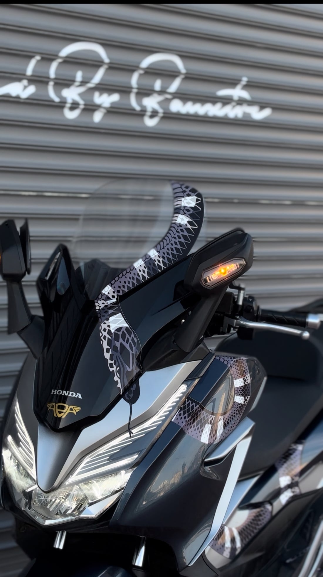 Tüm Motorlara Uyumlu Dev Yılan Sticker (Tek Parça Gelir İsteğe göre ayarlanabilir)
