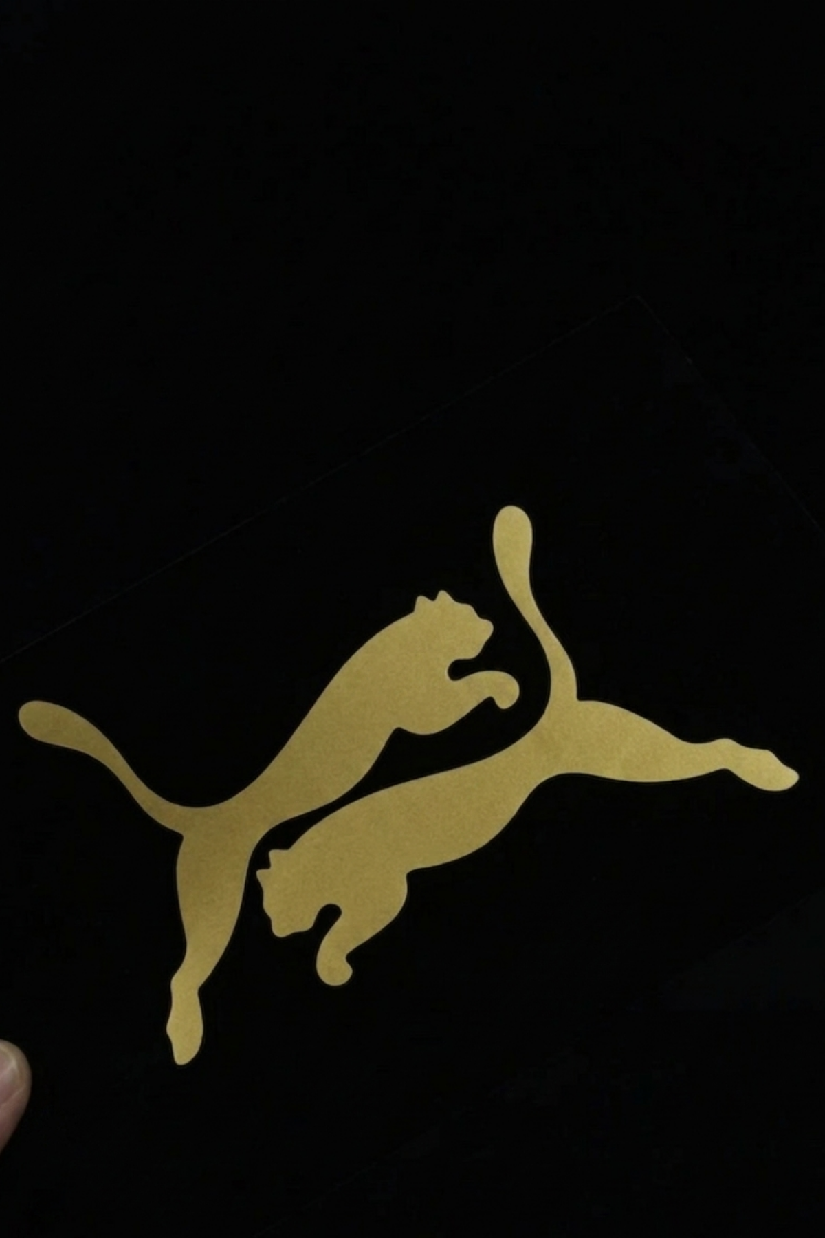 Motosiklet ve CG için Puma Leopar Gold Renk Sticker Etiket