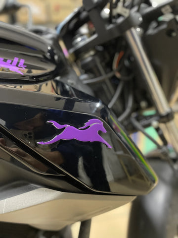 TVS Raider ve RTR  için Mor Renk At Sticker Etiket (Sağ ve Sol)