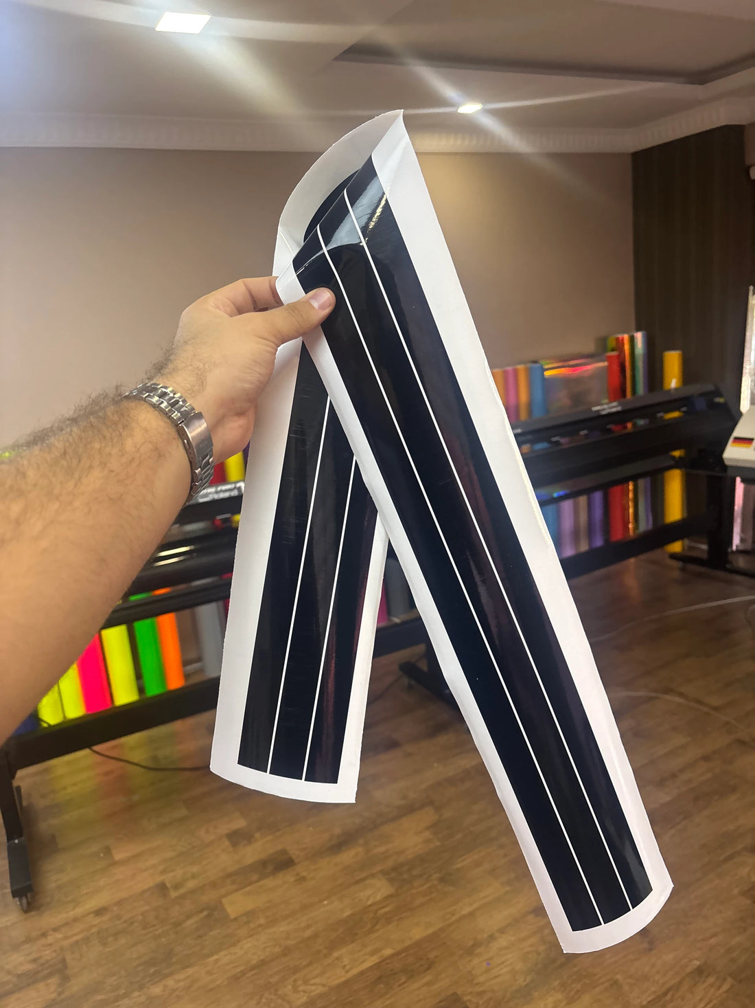 TVS Raider için Depoya Uyumlu Kalın Detay Şeritler