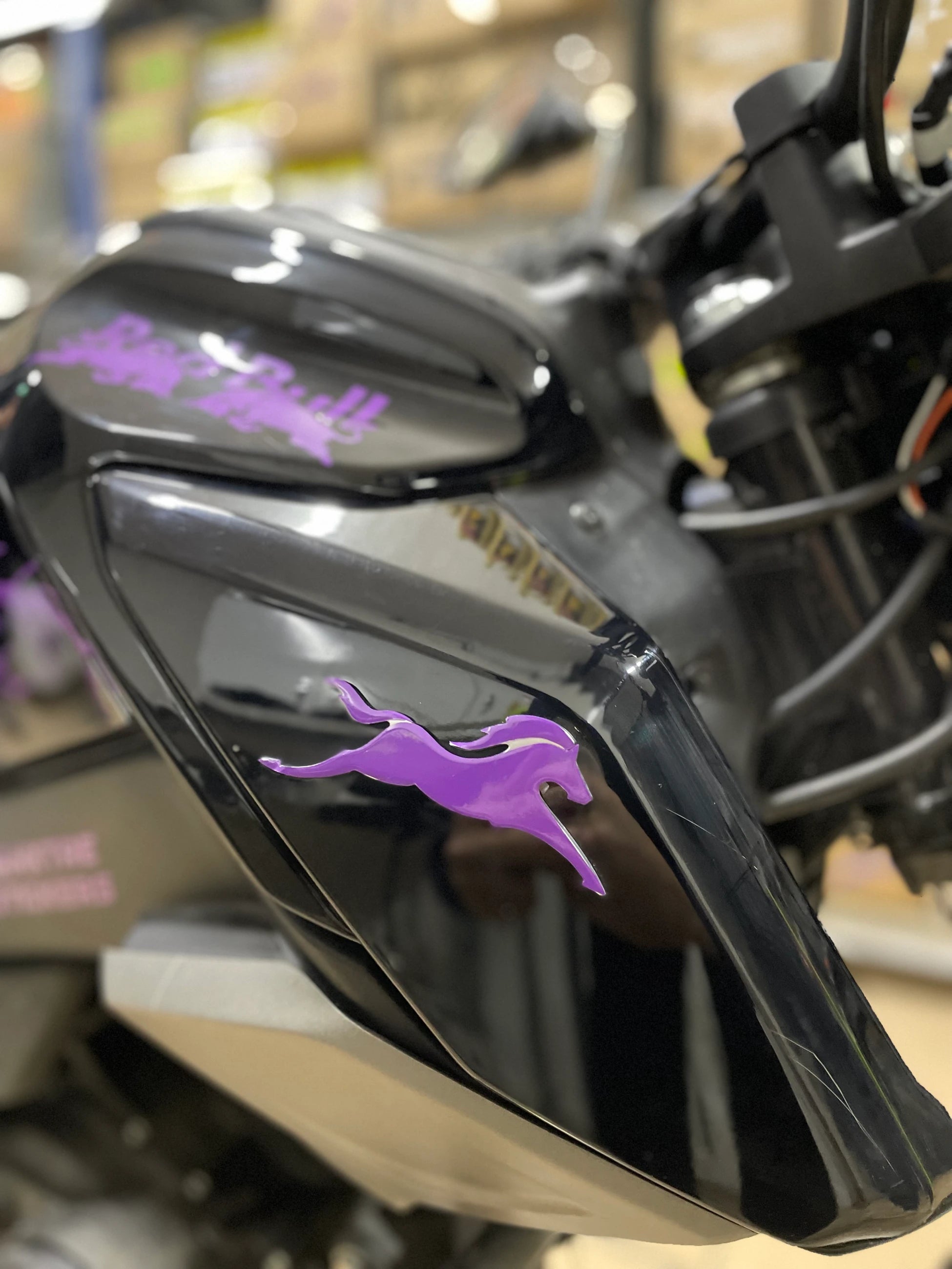 TVS Raider ve RTR  için Mor Renk At Sticker Etiket (Sağ ve Sol)